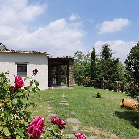 Cortijo Jimenez - Casa Rural Villa Pitres Buitenkant foto