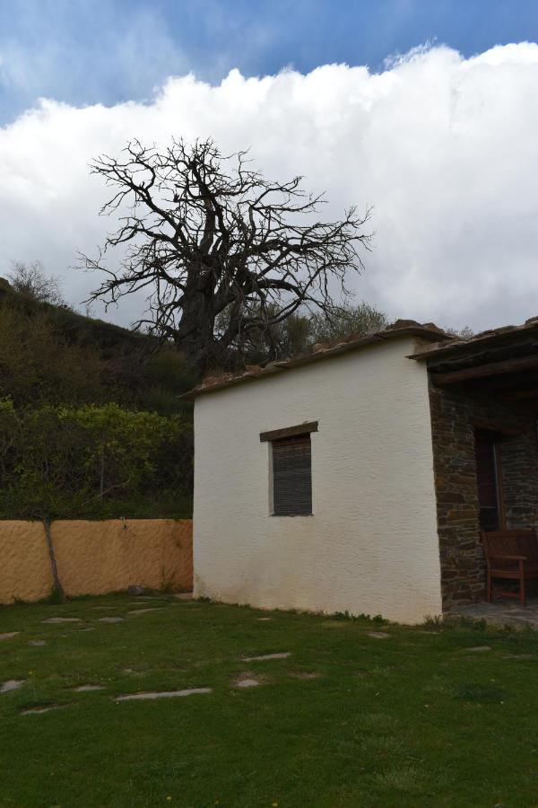 Cortijo Jimenez - Casa Rural Villa Pitres Buitenkant foto